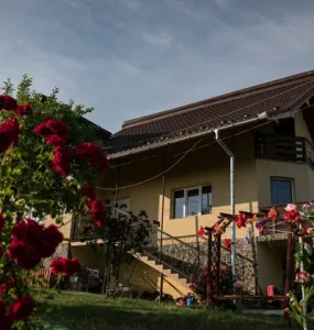 acoperisuri_durra (16)